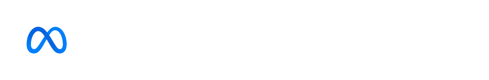 Meta Business Partner