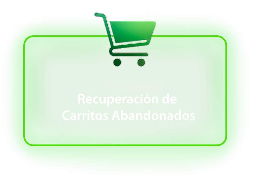 Recuperación de Carritos Abandonados